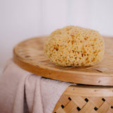 Natural Sea Sponge