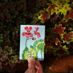 Pack of 8 'Geranium' Mini Greetings Cards - Winter's Moon 