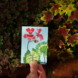 Pack of 8 'Geranium' Mini Greetings Cards - Winter's Moon 
