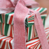 Block Printed Ribbon 3m - Mini Red Gingham