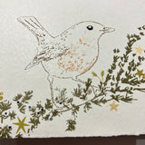 Handprinted Pack of Christmas Cards - Robin