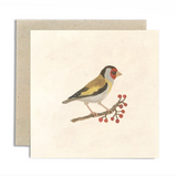 'Goldfinch and Hawthorn' Greetings Card - Winter's Moon 