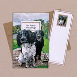 10 Poems About - Dogs - Winter's Moon 