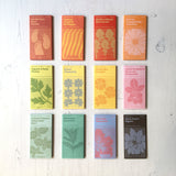 Piccolo Seeds Packets Group Shot