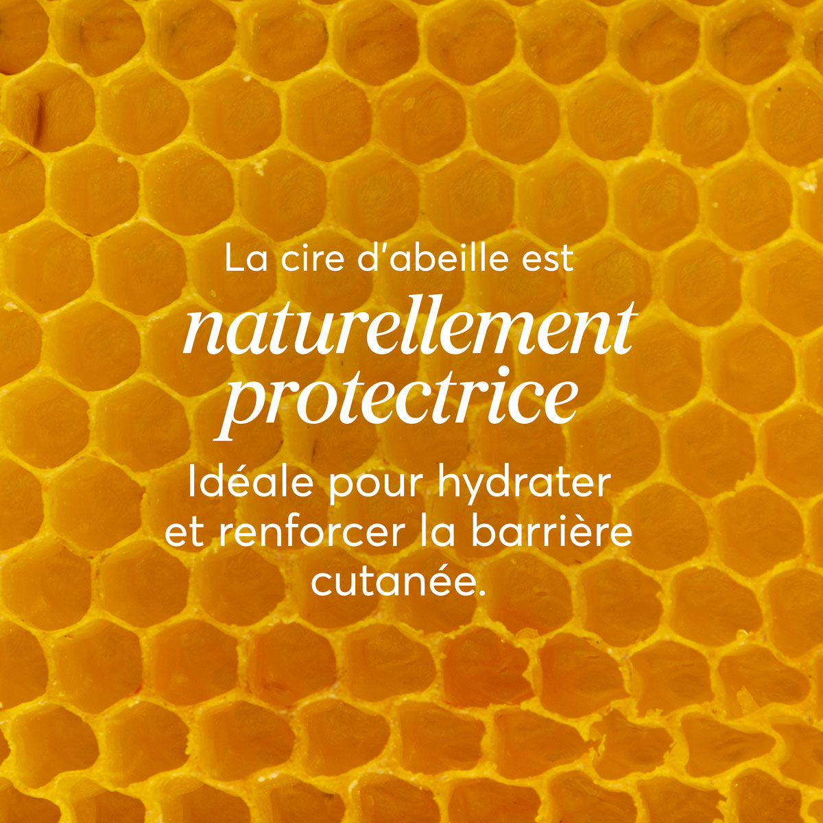 Baume à lèvres<span> Vanille</span>